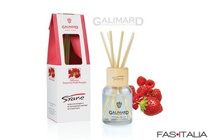 Diffusore di fragranza in flacone di vetro personalizzato Diffusore di fragranza in flacone di vetro personalizzato